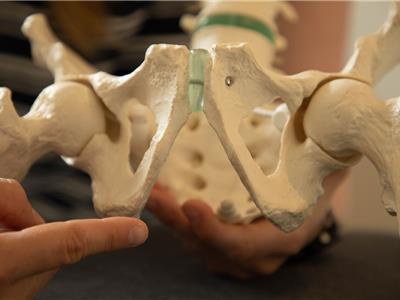 Bekkenbodemtherapie Impakt Kiné, Essen - Wuustwezel